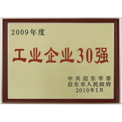 工業(yè)企業(yè)30強